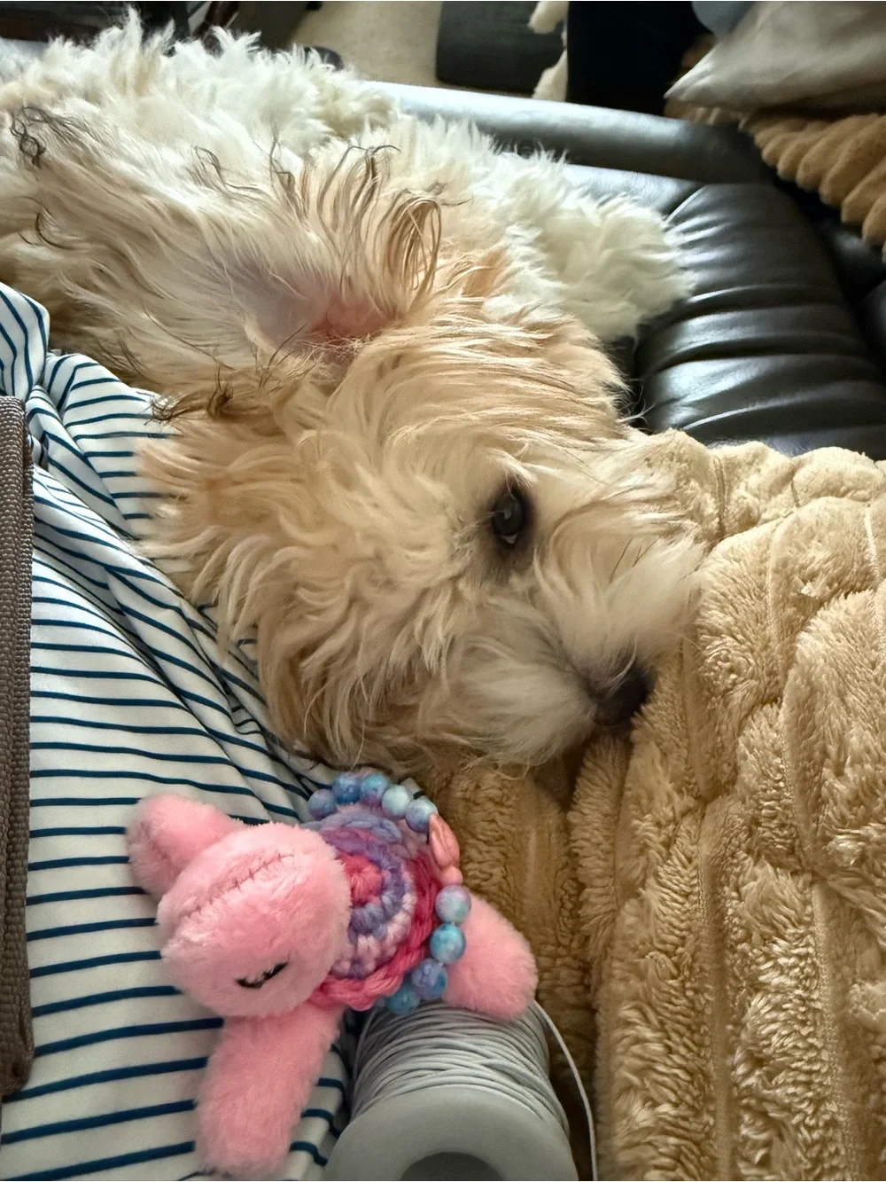 Pink plush toy turtle with crocheted with small turtle gemstone bracelet!
